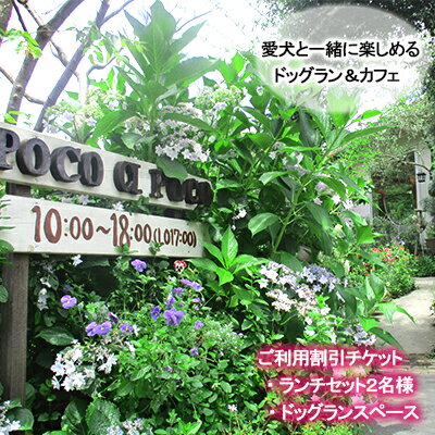 【ふるさと納税】 愛犬と楽しめるドッグランカフェ「ランチ2名様と広さ150坪のドッグランスペース」ご..