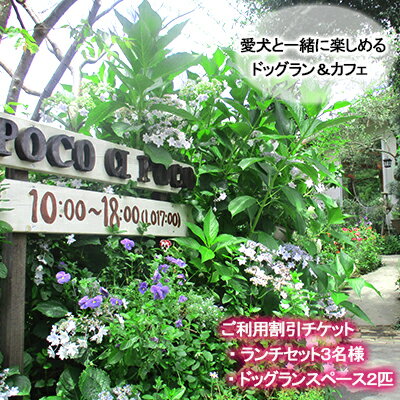 愛犬と楽しめるドッグランカフェ「ランチ3名様と広さ150坪のドッグランスペース2匹以上可能 愛犬用プリン」ご利用チケット 岡山県 倉敷市 Poco a Poco ポコアポコ [ ドッグカフェ お出かけ 犬連れ 食事 ご飯 自然豊か 岡山の食材 犬同伴OK ]