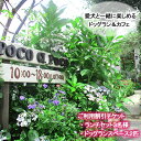 8位! 口コミ数「0件」評価「0」 愛犬と楽しめるドッグランカフェ「ランチ3名様と広さ150坪のドッグランスペース2匹以上可能 愛犬用プリン」ご利用チケット 岡山県 倉敷市 ･･･ 