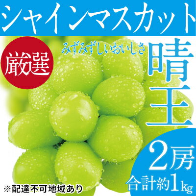 【ふるさと納税】ぶどう 2024年 先行予約 シャイン マス