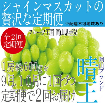 【ふるさと納税】ぶどう 2024年 先行予約 9月・10月発送 シャイン マスカット 晴王 1房 約600g ブドウ...