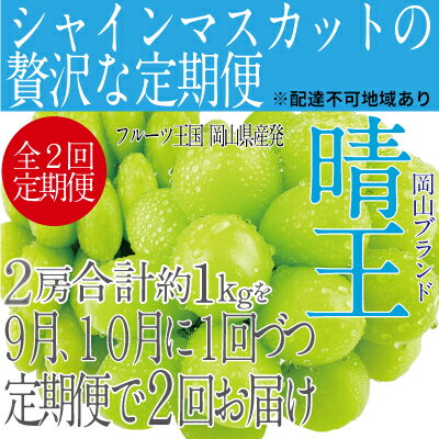 【ふるさと納税】ぶどう 2024年 先行予約 9月・10月発送 シャイン マスカット 晴王 2房（合計約1kg） ブドウ 葡萄 岡山県産 国産 フルーツ 果物 ギフト　【定期便・ 果物 フルーツ デザート 食後 酸味が少ない 産地直送 】　お届け：2024年9月中旬～2024年10月下旬