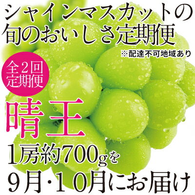 【ふるさと納税】ぶどう 2024年 先行予約 9月・10月発送 シャイン マスカット 晴王 1房 約700g ブドウ 葡萄 岡山県産 国産 フルーツ 果物 ギフト　【定期便・ 果物 フルーツ 皮ごと 酸味が少ない 上品な香り フレッシュ 】　お届け：2024年9月中旬～2024年10月下旬