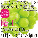 28位! 口コミ数「0件」評価「0」ぶどう 2024年 先行予約 9月・10月発送 シャイン マスカット 晴王 2房（合計約1.2kg） ブドウ 葡萄 岡山県産 国産 フルーツ･･･ 