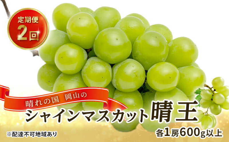 【ふるさと納税】ぶどう 2024年 先行予約 晴れの国 岡山の シャイン マスカット 晴王 定期便 2回（各1房600g以上） 葡萄 岡山県産 国産 フルーツ ギフト　【定期便・ デザート 食後 高級ぶどう 大粒 種なし 甘みが強い 皮ごと 】　お届け：2024年9月上旬～2024年10月下旬