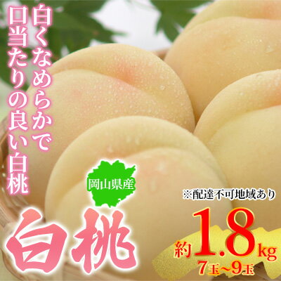 28位! 口コミ数「0件」評価「0」桃 2024年先行予約 岡山県産 白桃 約1.8kg 7～9玉 お届け 7月上旬～7月下旬　【 果物 もも 産地直送 色白 なめらか 】　お･･･ 