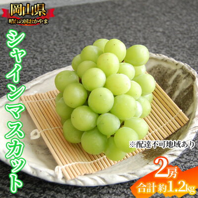 ぶどう 2024年先行予約 シャインマスカット 2房 約1.2kg 岡山県産 お届け 9月上旬～10月中旬　【 フルーツ マスカット 大粒 種なし 食べやすい 黄緑色 濃厚 甘み 皮ごと 】　お届け：2024年9月上旬～10月中旬