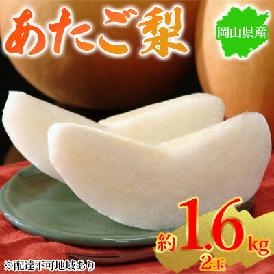 【ふるさと納税】梨 2024年先行予約 岡山県産 あたご梨 約1.6kg 2玉 お届け 11月下旬～12月中旬　【 フルーツ 国産 大玉 甘み みずみずしい 日持ちが良い 産地直送 】　お届け：2024年11月下旬～12月中旬