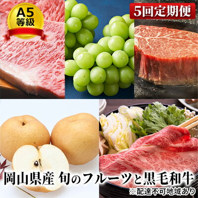 15位! 口コミ数「0件」評価「0」フルーツ 肉 2024年 先行予約 晴れの国 おかやま の 旬のフルーツと A5等級 黒毛 和牛 5回 定期便 ぶどう 牛肉 梨 岡山県産 ･･･ 