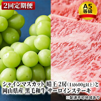 【ふるさと納税】フルーツ 肉 2024年 晴れの国 おかやま シャイン マスカット 晴王 2房 と A5等級 黒毛 和牛 サーロイン ステーキ 2回 定期便　【定期便・ お肉 牛肉 果物 フルーツ 食べ物 グルメ 】　お届け：2024年9月上旬～2024年10月下旬