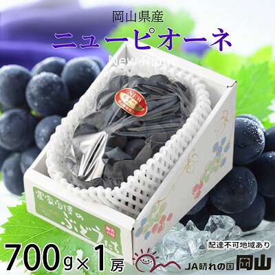 24位! 口コミ数「0件」評価「0」ぶどう 2024年 先行予約 ニュー ピオーネ 約700g×1房 8月下旬～9月下旬発送 ブドウ 葡萄 岡山県産 国産 フルーツ 果物 ギフ･･･ 