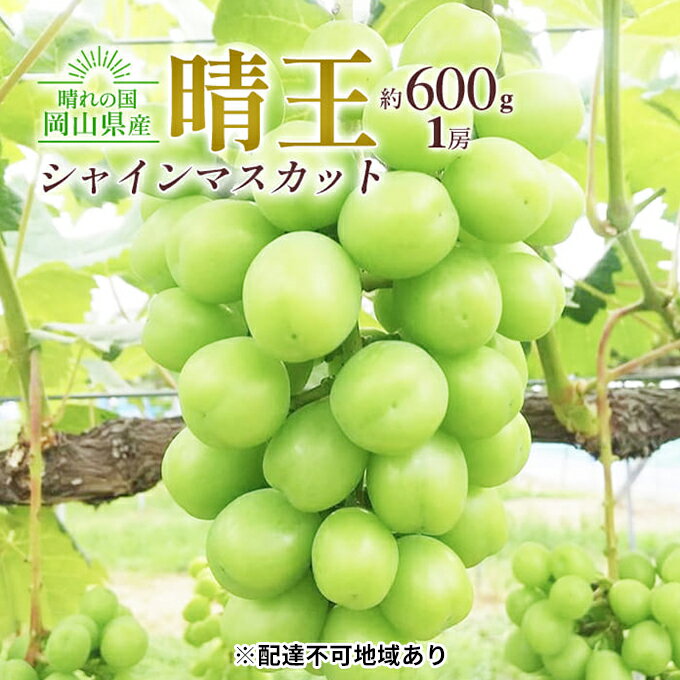 【ふるさと納税】ぶどう 2024年 先行予約 シャイン マス