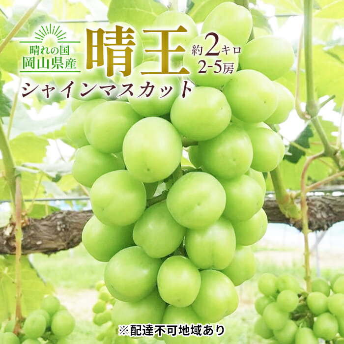 【ふるさと納税】ぶどう 2024年 先行予約 シャイン マスカット 晴王 2～5房入り 合計約2kg 大粒 種無し ブドウ 葡萄 岡山県産 国産 フルーツ 果物 ギフト 橋田商店　【 皮ごと 種なし 高糖度 大粒 岡山のぶどう 岡山のフルーツ 】　お届け：2024年9月中旬～2024年11月上旬