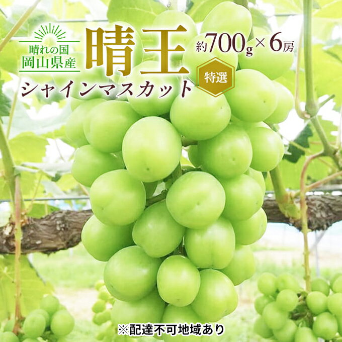 28位! 口コミ数「0件」評価「0」ぶどう 2024年 先行予約 シャイン マスカット 晴王 特選 6房（1房約700g）化粧箱入り 大粒 種無し ブドウ 葡萄 岡山県産 国産･･･ 