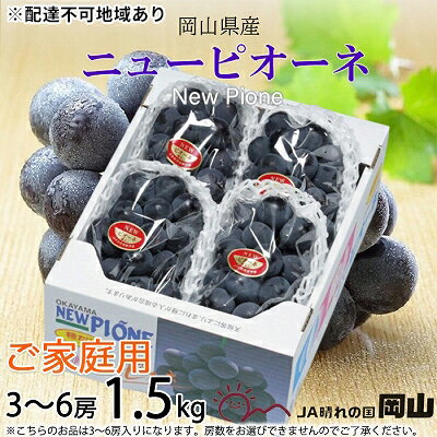 20位! 口コミ数「0件」評価「0」ぶどう 2024年 先行予約 ご家庭用 ニュー ピオーネ 3～6房 約1.5kg ブドウ 葡萄 岡山県産 国産 フルーツ 果物　【 種なし ･･･ 