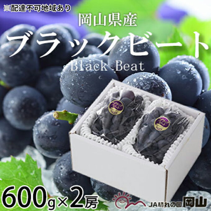 22位! 口コミ数「0件」評価「0」ぶどう 2024年 先行予約 ブラックビート 約600g×2房 ブドウ 葡萄 岡山県産 国産 フルーツ 果物 ギフト　【 果物 フルーツ デ･･･ 