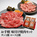 焼肉 セット 味付 タン 1種 ロース 2種 食べ比べ 肉 お肉 牛肉 牛タン 焼き肉 ヤキニク にく BBQ 配送不可:離島　