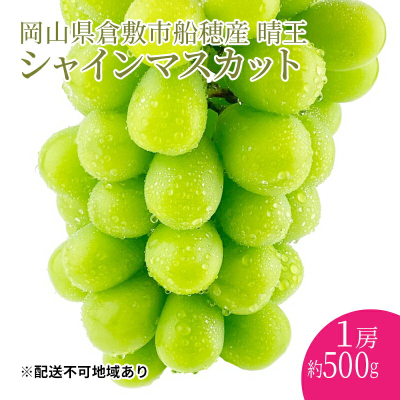 ぶどう 2024年度分 先行予約 シャインマスカット 晴王 1房 約500g 岡山県産 葡萄 ブドウ ギフト ハレノフルーツ 皮ごと食べる みずみずしい [倉敷市] お届け:2024年9月1日〜2024年10月31日