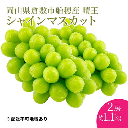 ぶどう 2024年度分 先行予約 シャインマスカット 晴王 2房 約1.1kg 岡山県産 葡萄 ブドウ ギフト ハレノフルーツ 皮ごと食べる みずみずしい　【倉敷市】　お届け：2024年9月1日～2024年10月31日