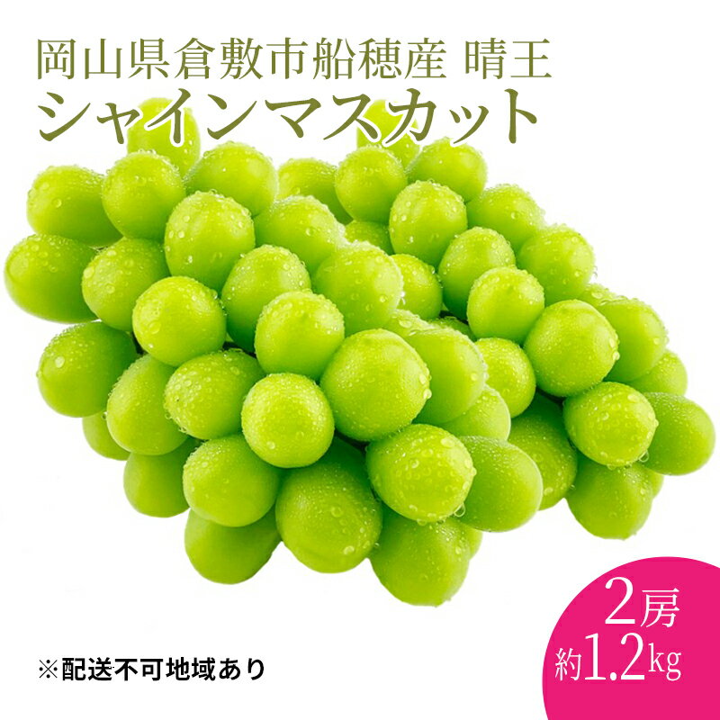 【ふるさと納税】ぶどう 2024年度分 先行予約 シャインマスカット 晴王 2房 約1.2kg 岡山県産 葡萄 ブ...