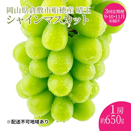 ぶどう 2024年度分 先行予約 シャインマスカット 晴王 1房 約650g 定期便 3回 岡山県産 葡萄 ブドウ ギフト ハレノフルーツ 皮ごと食べる みずみずしい　【定期便・倉敷市】　お届け：2024年9月1日～2024年11月30日