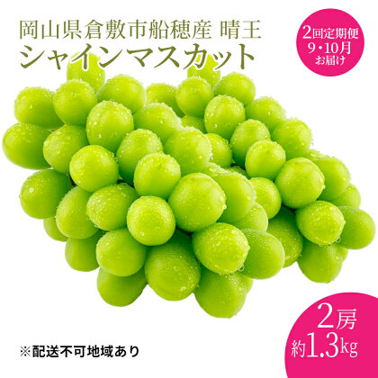 ぶどう 2024年度分 先行予約 シャインマスカット 晴王 2房 約1.3kg 定期便 2回 岡山県産 葡萄 ブドウ ギフト ハレノフルーツ 皮ごと食べる みずみずしい　【定期便・倉敷市】　お届け：2024年9月1日～2024年10月31日