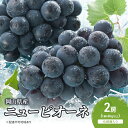 【ふるさと納税】ぶどう 2024年 先行予約 ニューピオーネ 2房(1房480g以上) 化粧箱入り  ...