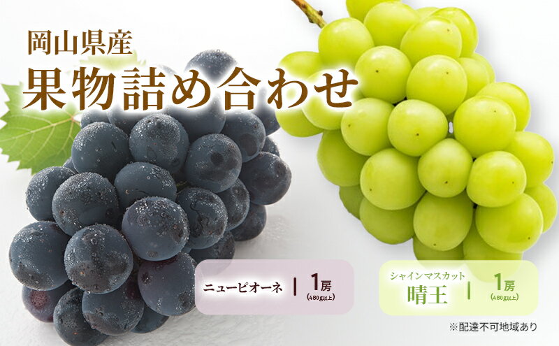 【ふるさと納税】ぶどう 2024年 先行予約 詰合/ニューピオーネ1房(480g以上)・シャインマスカット晴王 1房(480g以上) 化粧箱入り ブドウ 葡萄 岡山県産 国産 フルーツ 果物 ギフト　【倉敷市】　お届け：2024年8月下旬～2024年10月上旬