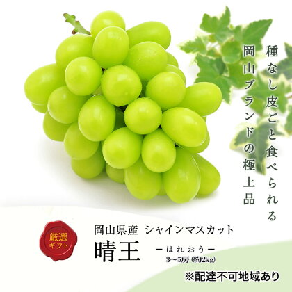 ぶどう 2024年 先行予約 シャインマスカット晴王 3～5房 (約2kg) ブドウ 葡萄 岡山県産 国産 フルーツ 果物 ギフト　【倉敷市】　お届け：2024年8月下旬～2024年11月中旬