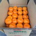 【ふるさと納税】早期受付 倉敷みかん 約5kg/約10kg 選べる内容量 倉敷ひらまつ農園 果物類 柑橘類 ミカン 蜜柑 フルーツ デザート 食後 おやつ 間食 冬 こたつ 岡山県産 【2025年11月上旬~2026年1月下旬 発送予定】