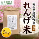【ふるさと納税】岡山県産 れんげ米(5kg入)(26552)【1030490】