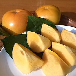 【ふるさと納税】【先行予約】津山産高級大甘柿 太秋大甘柿_ 柿 かき カキ 甘柿 果物 くだもの フルーツ 果実 甘い デザート 岡山県 津山市 産直 産地直送 贈答 ギフト プレゼント 送料無料 【配送不可地域:離島】【1035172】
