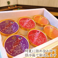 本格手作りシャーベット パティシエがこだわりぬいた素材を使用 パティシエが作るこだわりシャーベット ふるさと納税 岡山県津山市 スイーツ お菓子 乳 卵不使用 等3種の味 3種6個セット 各1ml入り ラズベリー その他 3種6個 本格手作りシャーベット パティシエがこだわりぬいた素材を使用 パティシエが作るこだわりシャーベット ふるさと納税 岡山県津山市 スイーツ お菓子 乳 卵不使用 等3種の味 3種6個セット 各1ml入り ラズベリー その他 3種6個