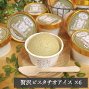 【ふるさと納税】アイス職人の作るこだわりアイスクリーム6個セット ピスタチオアイス 各90ml入り【配送不可地域:離島】【1148911】