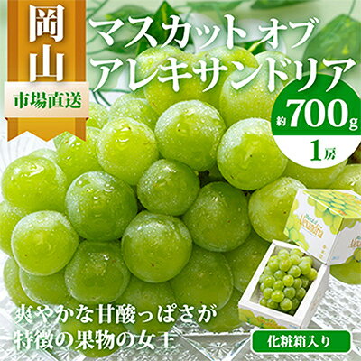 [2025年発送]岡山県産マスカットオブアレキサンドリア1房(秀品以上・700g以上)化粧箱入り_ ぶどう 葡萄 ブドウ 果物 フルーツ 岡山県 津山市 くだもの マスカット 人気 おすすめ 送料無料 [配送不可地域:離島・北海道・沖縄県]