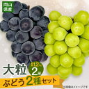 【ふるさと納税】【2025年10月より発送】大粒ぶどう2種セット シャインマスカットほか 2房 約1.2kg【1244629】