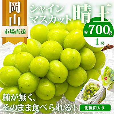 【ふるさと納税】【2025年発送】岡山県産 シャインマスカット『晴王』1房 700g以上 化粧箱入り【配送不可地域:離島・北海道・沖縄県】【1281355】