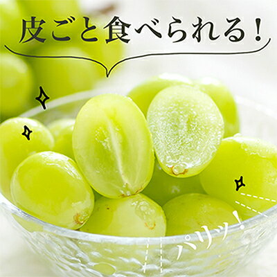 【ふるさと納税】【先行予約】岡山県産　シャインマスカット『晴王』1房　700g以上　化粧箱入り_ シャインマスカット ぶどう 葡萄 ブドウ 果物 くだもの フルーツ 岡山県 津山市 産直 産地直送 化粧箱 ギフト 送料無料 【配送不可地域：離島・北海道・沖縄県】【1281355】