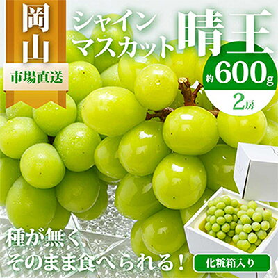 【ふるさと納税】【2025年発送】岡山県産 シャインマスカット『晴王』2房(1房600g以上) 化粧箱入り【配送不可地域:離島・北海道・沖縄県】【1281356】 【ふるさと納税】【2025年発送】岡山県産 シャインマスカット『晴王』2房(1房600g以上) 化粧箱入り【配送不可地域:離島・北海道・沖縄県】【1281356】