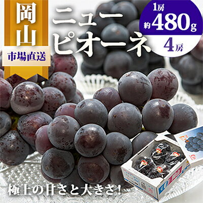 【ふるさと納税】【2025年発送】岡山県産 ニューピオーネ4房(1房480g以上・合計約2kg)【配送不可地域:離島・北海道・沖縄県】【1281357】