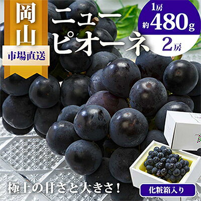 【ふるさと納税】【2025年発送】岡山県産　ニューピオーネ2房 (1房480g以上・合計約1kg)　化粧箱入り_ ニューピオーネ ぶどう 葡萄 ブドウ 果物 くだもの 訳なし ピオーネ フルーツ 人気 美味しい 岡山 産直 ギフト 贈答 【配送不可地域：離島・北海道・沖縄県】【1281358】