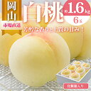 【ふるさと納税】【2025年発送】岡山県産 白桃6玉(1.6kg以上) 化粧箱入り【配送不可地域:離島・北海道・沖縄県】【1281362】