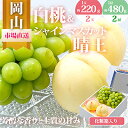 【ふるさと納税】【2025年発送】岡山県産 詰合せ/白桃とシャインマスカット『晴王』 化粧箱入り【配送不可地域:離島・北海道・沖縄県】【1281366】
