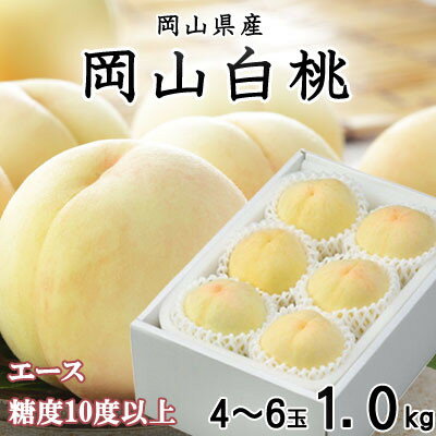 【ふるさと納税】【先行予約】岡山白桃 エース 4～6玉 1kg 岡山県産_ 桃 ふるさと納税 白桃 もも モモ 甘い 果物 くだもの フルーツ 産地直送 産直 岡山県 津山市 贈答 ギフト プレゼント 光センサー 送料無料 【配送不可地域：離島・北海道・沖縄県】【1305692】
