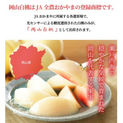 【ふるさと納税】【先行予約】岡山白桃 エース 4～6玉 1kg 岡山県産_ 桃 ふるさと納税 白桃 もも モモ 甘い 果物 くだもの フルーツ 産地直送 産直 岡山県 津山市 贈答 ギフト プレゼント 光センサー 送料無料 【配送不可地域：離島・北海道・沖縄県】【1305692】