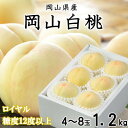 【ふるさと納税】【先行予約】岡山白桃 ロイヤル 4~8玉 1.2kg 岡山県産_ 桃 白桃 もも モモ 岡山白桃 甘い 果物 くだもの フルーツ デザート 岡山県 津山市 国産 産直 産地直送 贈答 ギフト プレゼント 送料無料 【配送不可地域:離島・北海道・沖縄県】【1305694】