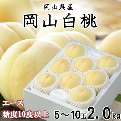 【ふるさと納税】【先行予約】岡山白桃 エース 5~10玉 2kg 岡山県産【配送不可地域:離島・北海道・沖縄県】【1305711】
