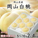 【ふるさと納税】【先行予約】岡山白桃 エース 5~10玉 2.4kg 岡山県産【配送不可地域:離島・北海道・沖縄県】【1305715】