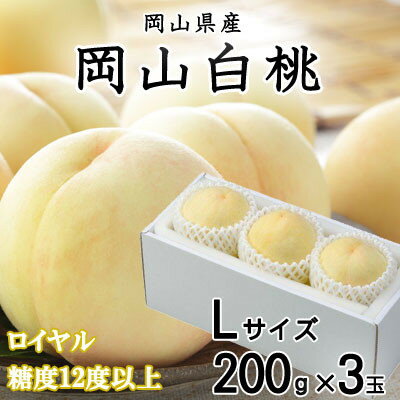 [先行予約]岡山白桃 ロイヤル 3玉×200g (Lサイズ) 岡山県産[配送不可地域:離島・北海道・沖縄県]