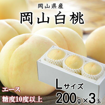 【ふるさと納税】【先行予約】岡山白桃 エース 3玉×200g(Lサイズ )岡山県産【配送不可地域:離島・北海道・沖縄県】【1305719】